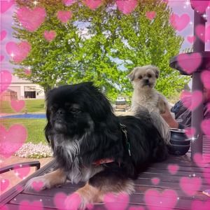 Meet your Posher, Jill